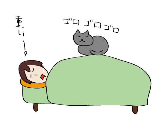 猫