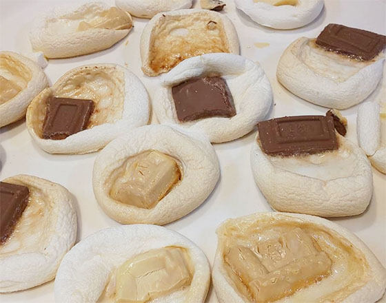 <千歳店>食べ物と生き物