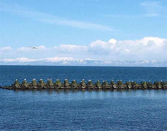 ＜札幌店＞海が見えるカフェ♪