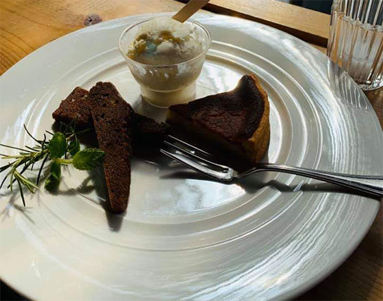 <千歳店>怪獣との生活始動