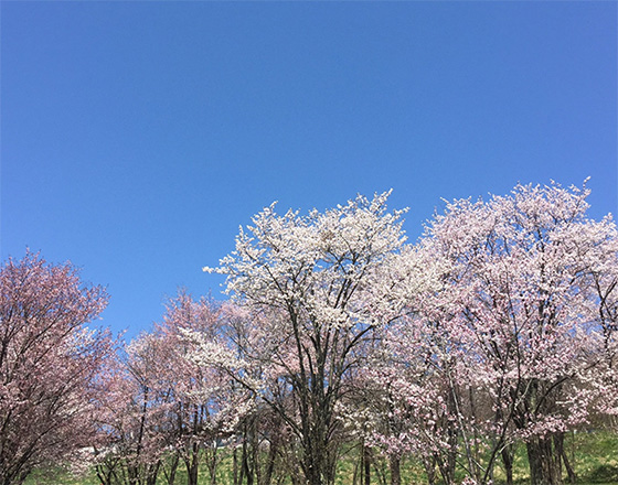<札幌店>今だからできる事