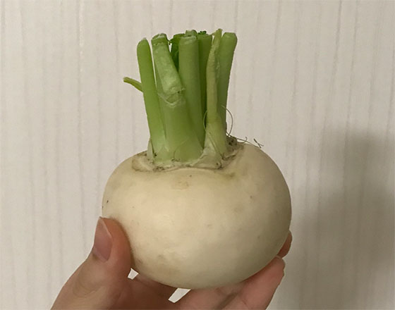 <苫小牧店>蕪(と胡瓜)のお漬物