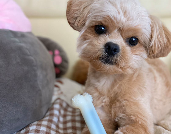 <苫小牧店>はじめまして