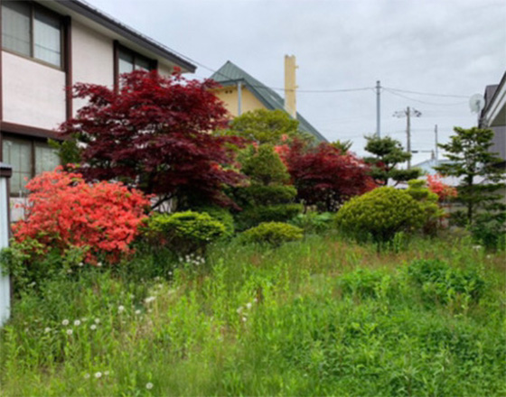 <苫小牧店>庭の手入れ