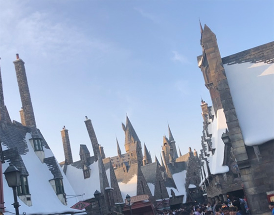 ＜苫小牧店＞ハリーポッター