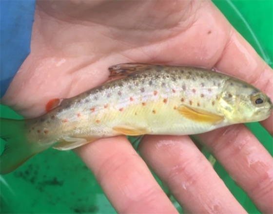 <苫小牧店>冬キャンプの時期が到来!