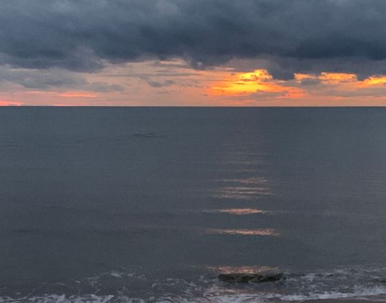 ＜苫小牧店＞今の楽しみ