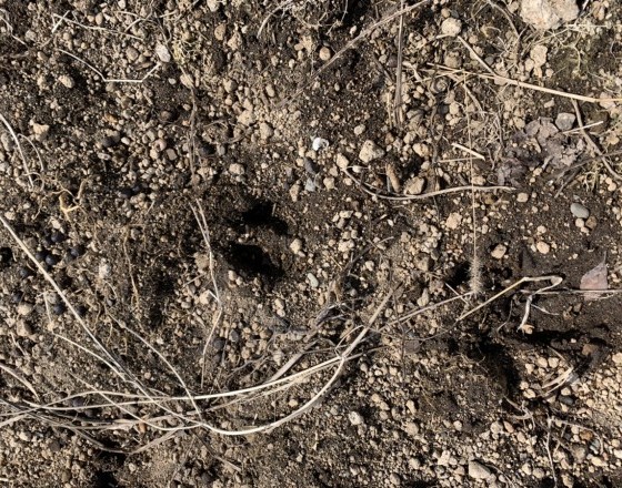 <苫小牧店>現場でのできごと