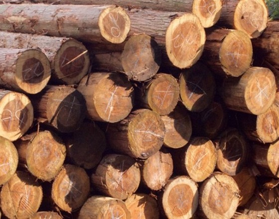 <苫小牧店>寝耳に水(真面目な話)