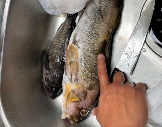 <苫小牧店>最近あったことランキング