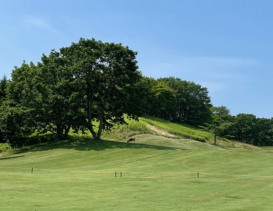 ＜札幌店＞早朝ゴルフ部