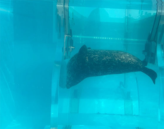 ＜苫小牧店＞奇跡のショット？