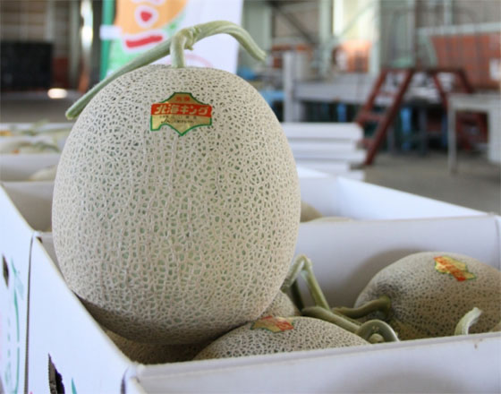 <苫小牧店>奈井江町