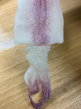 <苫小牧店>後輩からのプレゼント??