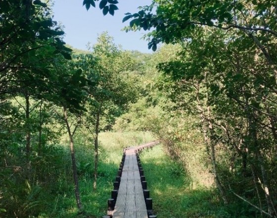 <苫小牧店>自分だけの動物図鑑