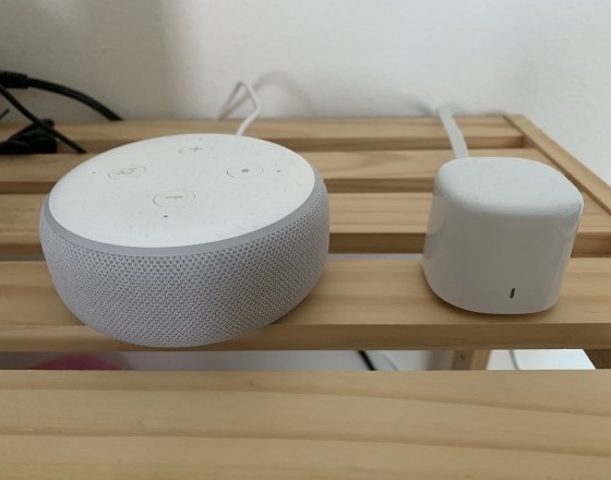 <苫小牧店>アレクサと私