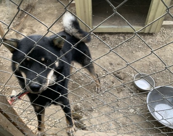 <苫小牧店>〇〇〇バンクのお父さん?