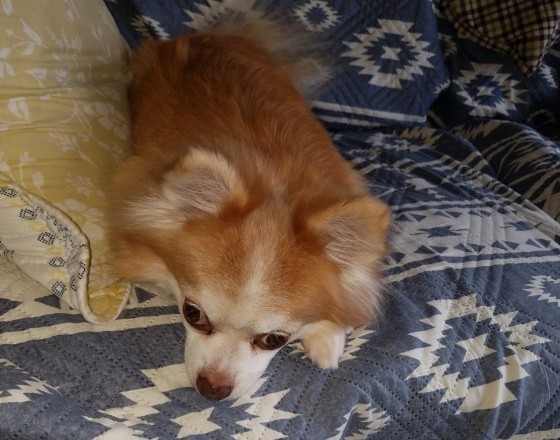 <苫小牧店>自己紹介