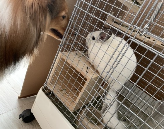 <苫小牧店>☆あたるポスト☆