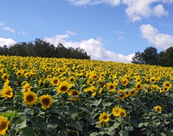<苫小牧店>充実した休日