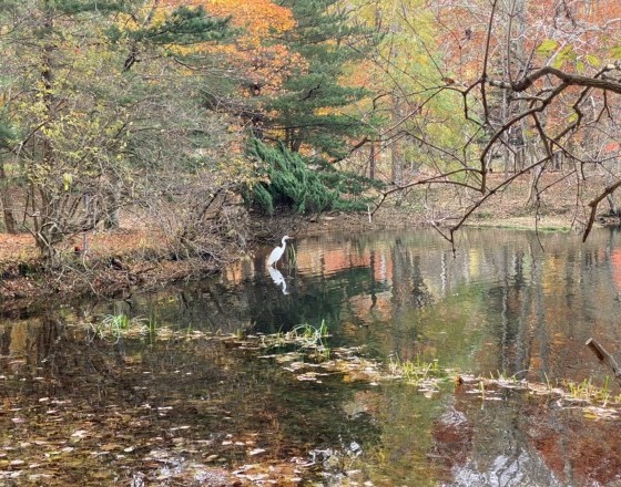 <苫小牧店>紅葉の秋と食欲の秋