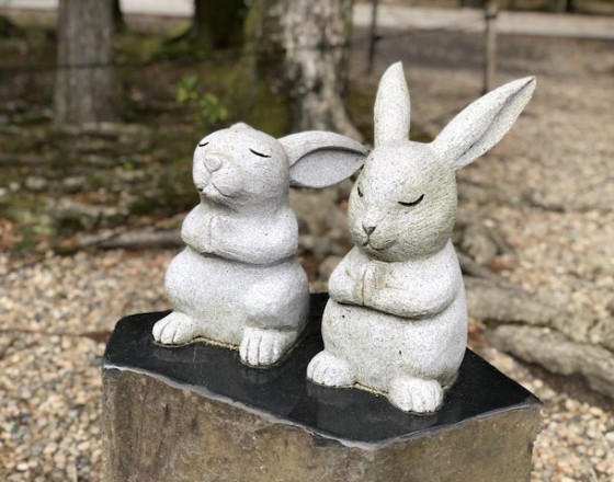 <苫小牧店>出雲大社②