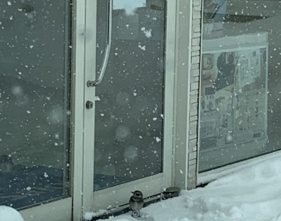 <ライフサロン苫小牧中央店>かわいい訪問者