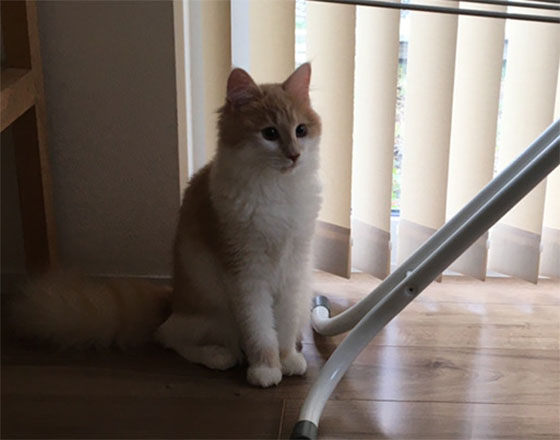 <千歳店>子供達に元気を貰いました