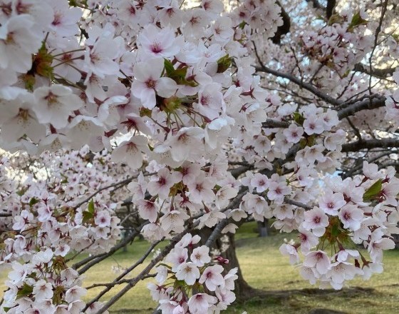 <苫小牧店>GWの出来事!