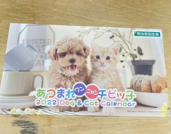 <苫小牧店>カレンダー