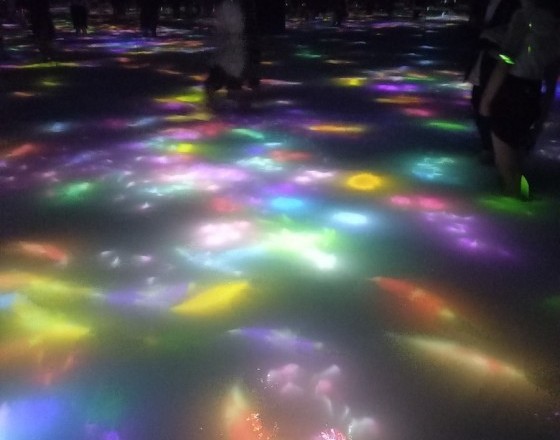 <苫小牧店>超巨大没入空間