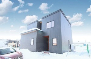 広々土間収納のあるヴィンテージモダンの家